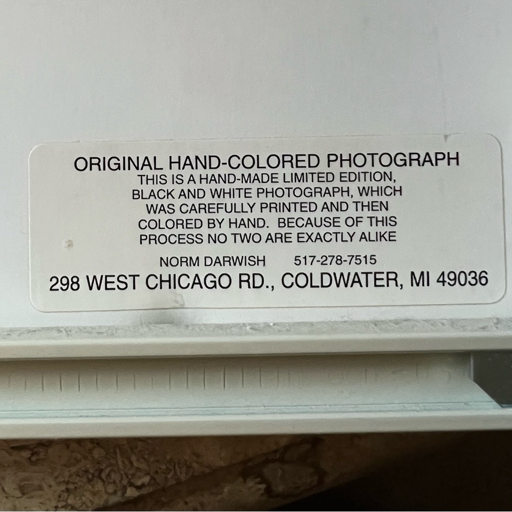 Hand colored Limited Edition Norm Darwish “Posing” Black & White Photograph - Picture 5 of 8